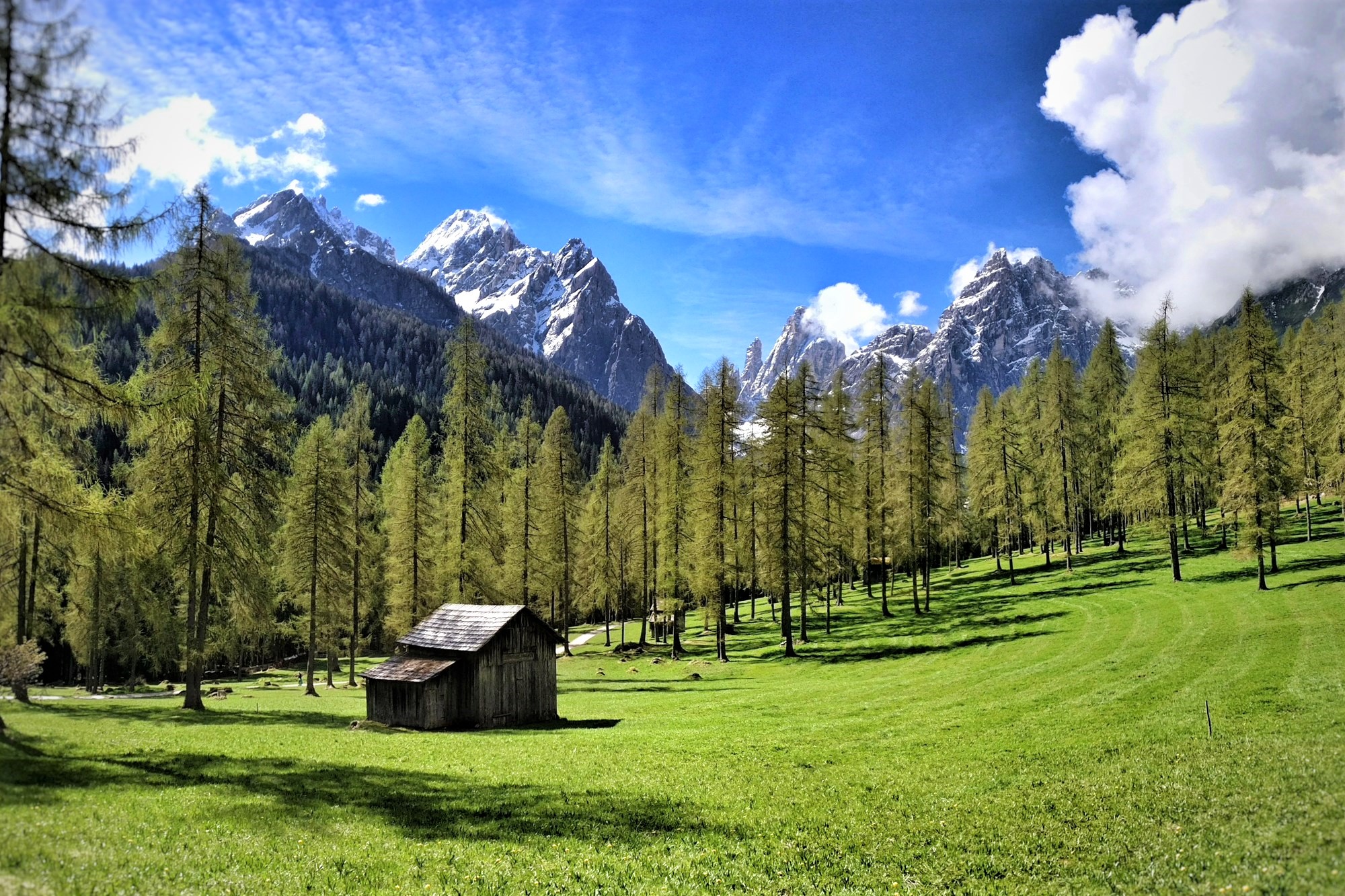 Fischleintal im Frühling